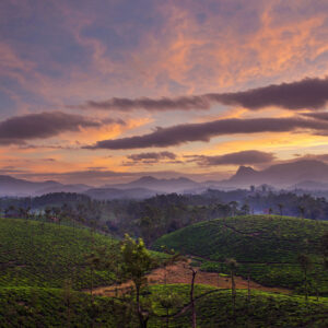 vaalparai