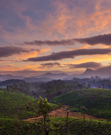vaalparai