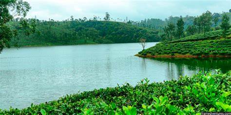 valparai